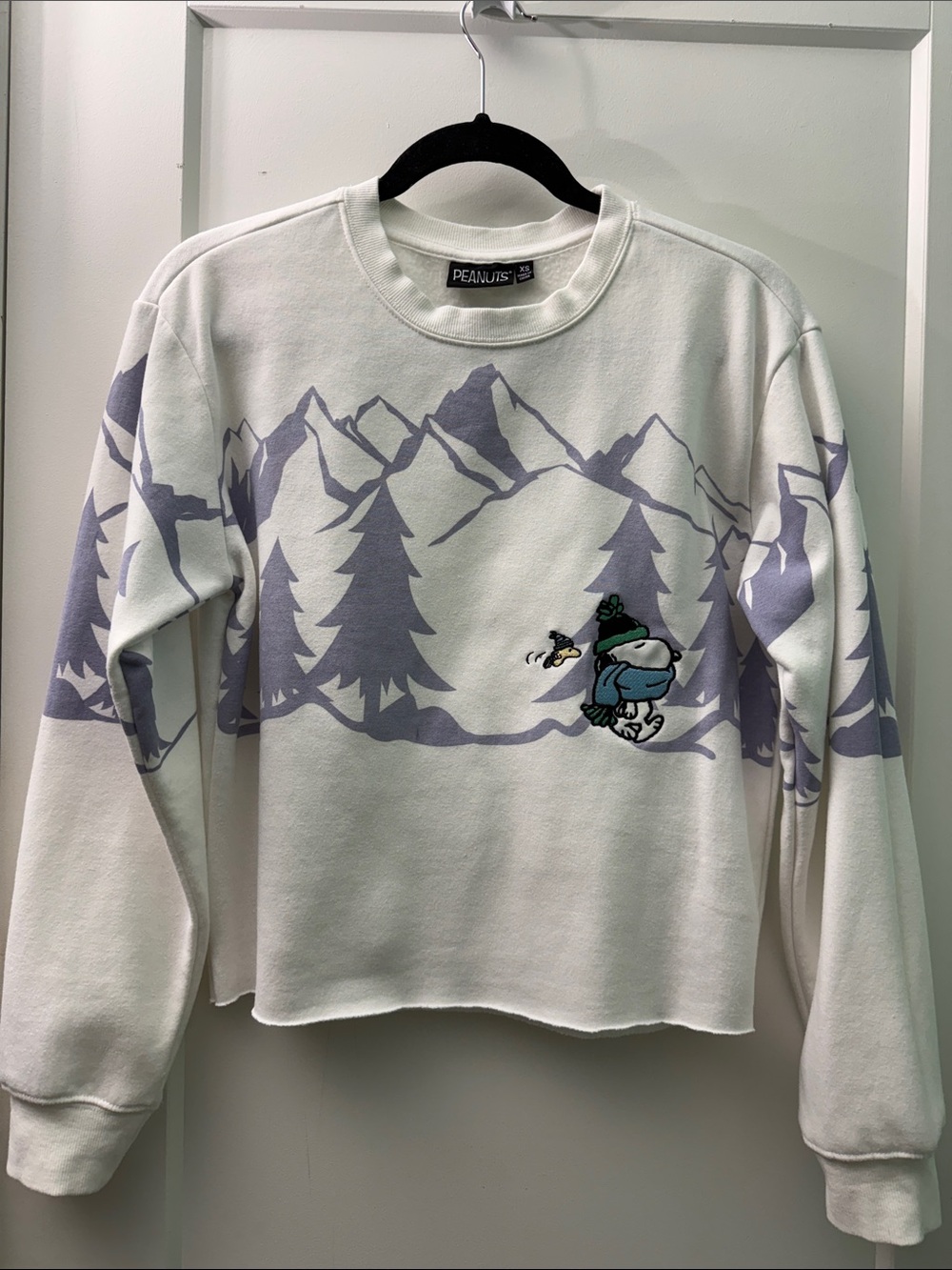 Peanuts x Aeropostale EUC crewneck soft microfleece sweater with raw hem - Picture 2 of 9